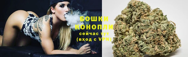 дурь Бородино