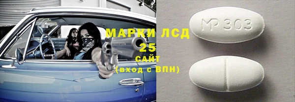 дурь Бородино
