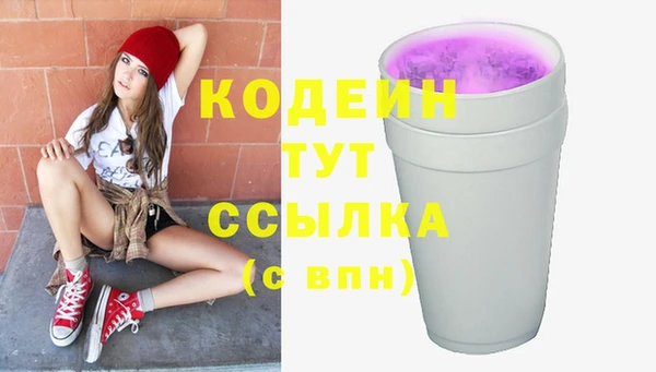 дурь Бородино