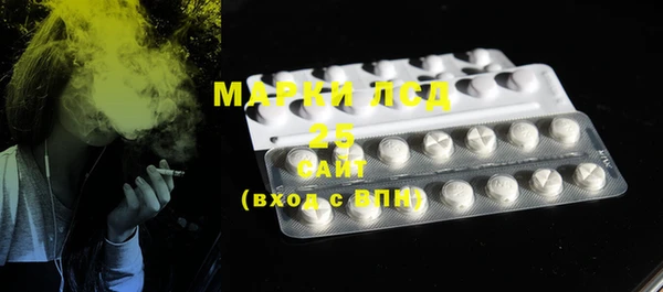 PSILOCYBIN Бронницы