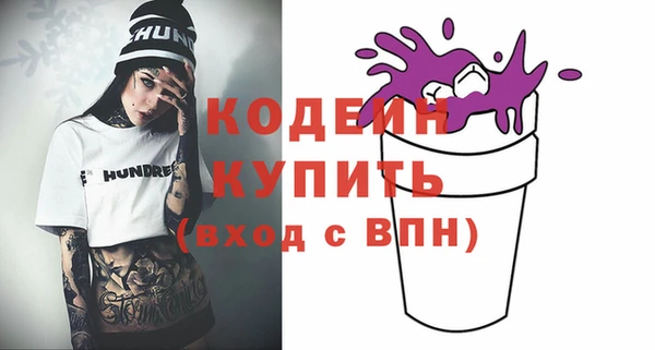 дурь Бородино