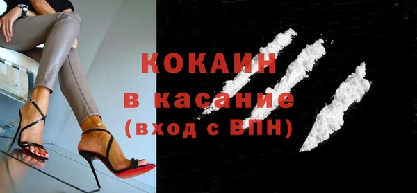 дурь Бородино