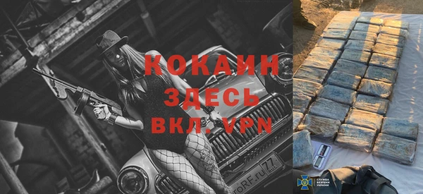 дурь Бородино