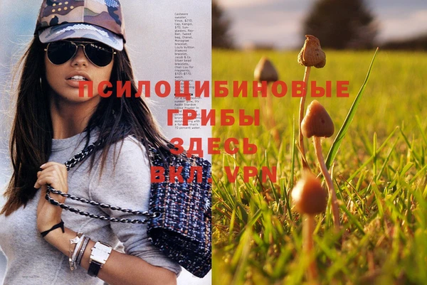 PSILOCYBIN Бронницы