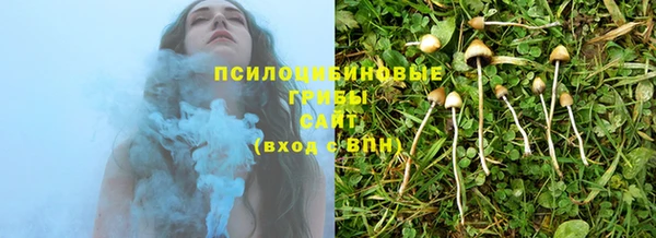 PSILOCYBIN Бронницы