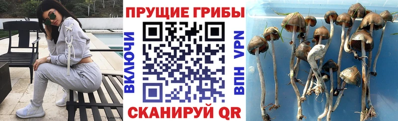 Галлюциногенные грибы прущие грибы Усть-Катав